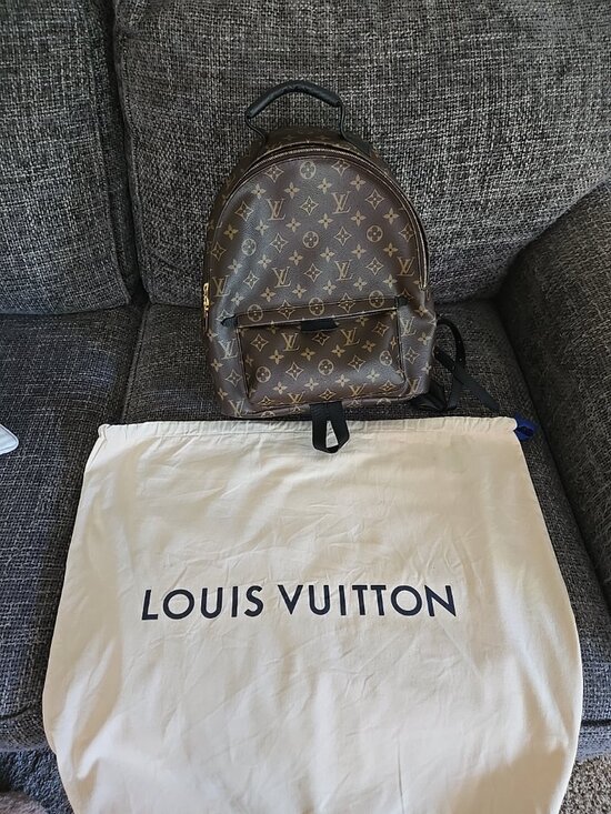 Louis-vuitton Palm Springs MM main image 7